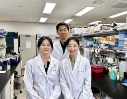 스스로를 공격하는 자가면역질환 면역반응 완화 '스위치' 찾았다