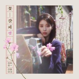 아이유, 27일 신보 '꽃갈피 셋'…8년만에 리메이크 앨범