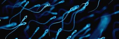 美 난임부부, AI 기술로 남편 정자 찾아내 18년만에 임신 성공