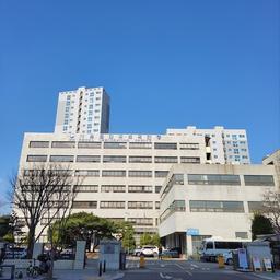 폐업학원 명의로 외국인 78명 허위초청해 3억6천만원 챙긴 부부
