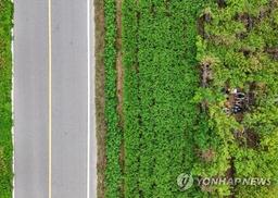 [여행honey] 지친 영혼을 달래줄 안동 '금소마을'