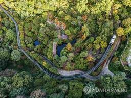 [여행honey] 가을빛 자연과의 대화…화담숲