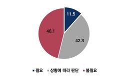 핵무장, 전문가에 물었더니 "필요" 12% vs "불필요" 46%