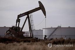 [뉴욕유가] 美·中 정상의 불안정한 무역 휴전…WTI 0.15%↑