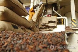 日식품업체, 세포 배양 카카오로 초콜릿 제품 개발 추진