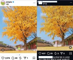 두 사진 중 하나는 작가의 작품, 하나는 AI 조작