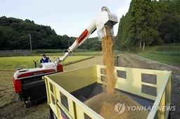 日쌀값 또 급등…6개월만에 최고치 경신