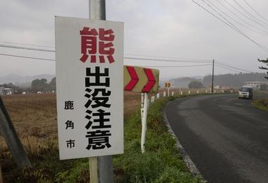 日, 곰출몰 급증에 '관광업 시설폐쇄 보상보험' 등장…업계최초
