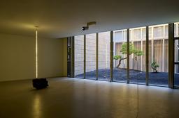 길을 잃을 때 비로소 보이는 자연…도심 전시장 속 작은 숲