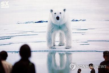 북극곰, 온난화에 DNA변이로 생존적응?…"식물성 포함 식단 전환"