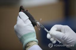 "기후변화로 쥐 먹잇감 풍부해져…설치류 매개 질병 늘 수도"