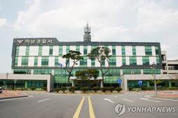 "성능 확인하려고"…비비탄 10여발 발사해 행인 다치게 한 30대