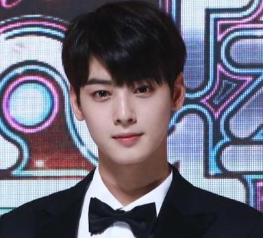 [경주APEC] '육군 일병' 차은우, 정상회의 환영 만찬 사회자로