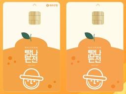 12월 한달간 제주 지역화폐 '탐나는전' 5% 할인 발행