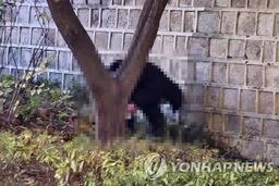 [샷!] 무엄하도다…'용변 테러'·'어좌 털썩'