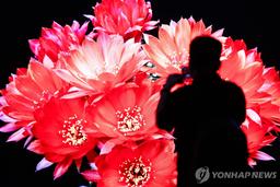 中업체, 日TV시장 처음으로 과반 차지…"가격 경쟁력서 두각"