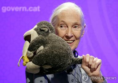 [아프리카는] (99)제인 구달의 고별 메시지 "포기 말고 당신 몫 해내세요"