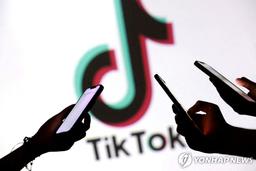 "틱톡, 오라클 등이 주도하는 컨소시엄이 통제…美지분 80%"(종합)