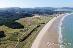 [해안사구의 재발견] ⑨ 개발 바람과 기름 유출 딛고 되살아난 태안 신두리 사구
