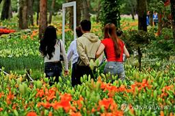 국산 백합·심비디움, 뉴질랜드 수출된다…"원예농가 소득 증대"