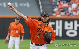 한국시리즈 티켓 걸린 PO 5차전은 폰세 vs '폰태' 맞대결