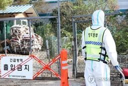 겨울철 조류인플루엔자 확산 방지…'예찰지점' 102곳으로 10곳↑