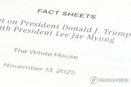 한미 디지털 합의, 미국 기업 부담 완화…국내 영향은