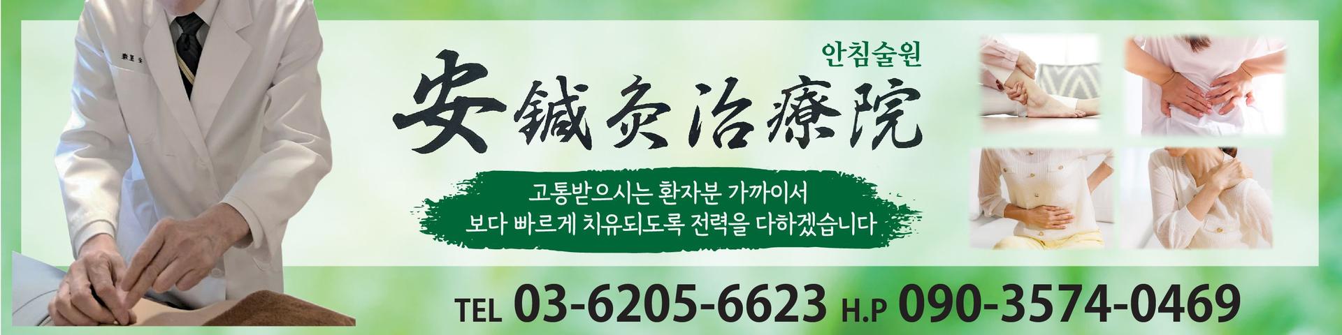 안침술원