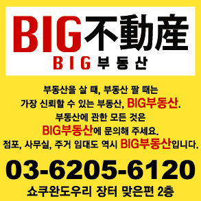 BIG부동산